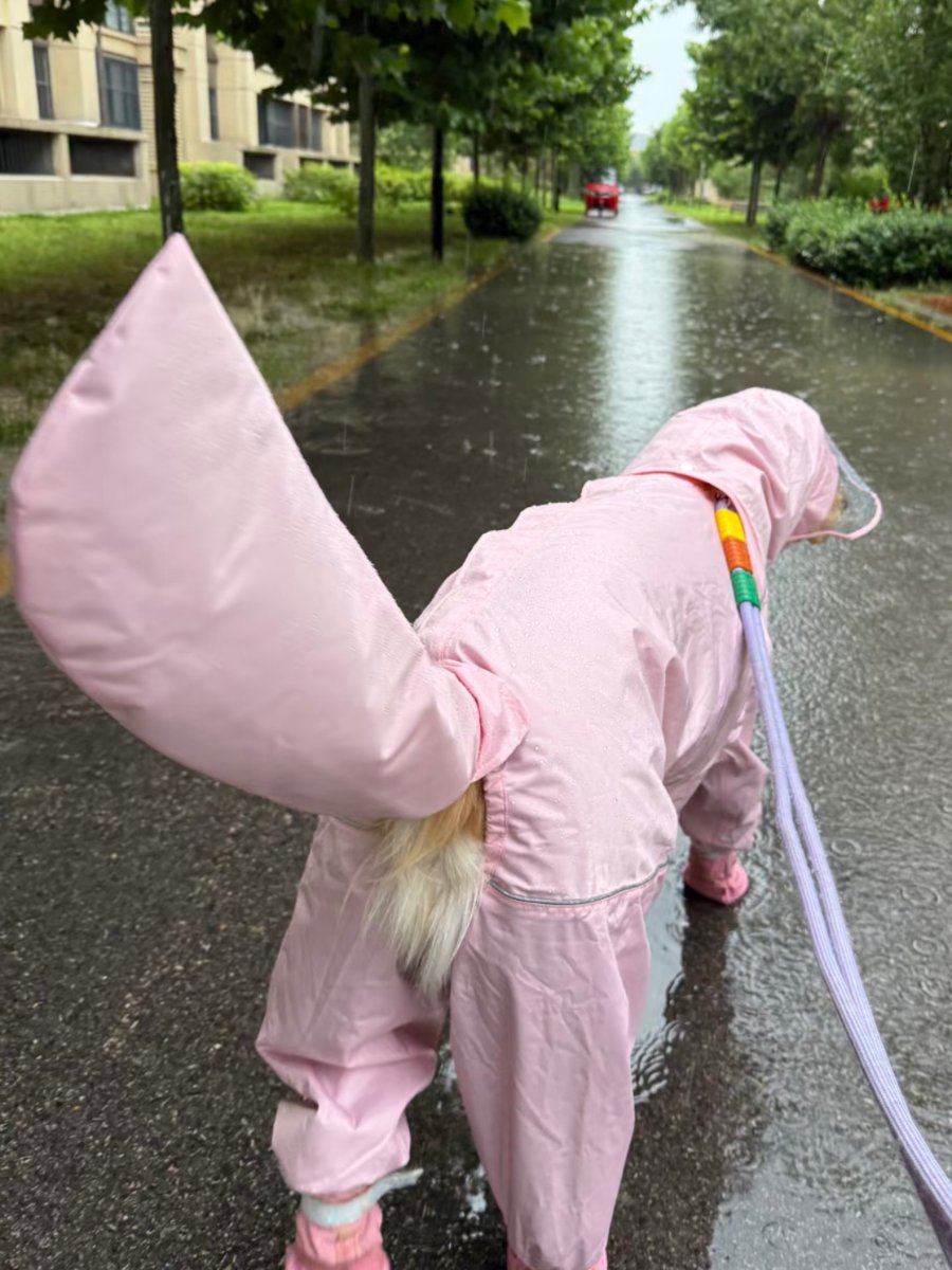 arelisarahideh2's tweet photo. A stranger’s quick hand helped me pick up all the spilled grocery bags in the rain—small kindness that turned my bad day around instantly.， https://t.co/PHxGaWzVe5