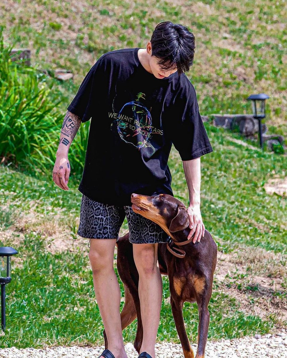 yt_jungkook's tweet photo. In honour of Jungkook's birthday and inspired by his love for animals, I decided to donate to World Wide Fund for Nature, WWF 💚

Happy Birthday Jungkook! You make the world a better place ♡

#HAPPYJKDAY
#AlwaysByYourSideJK
#BornGoldenJungkook
#WorldVocalJungkook https://t.co/mHLC24psZA