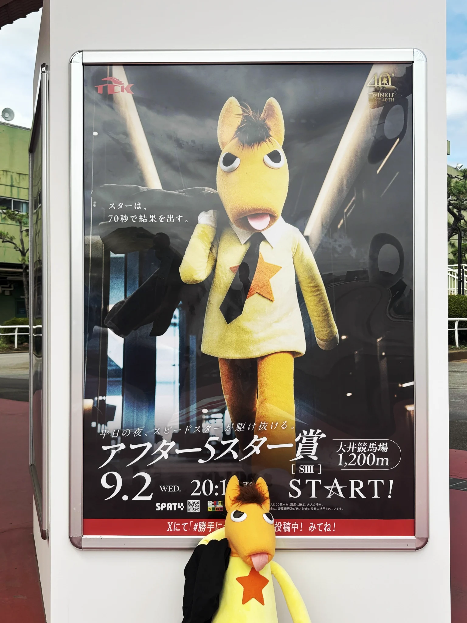 東京シティ競馬 (TCK) on X: 