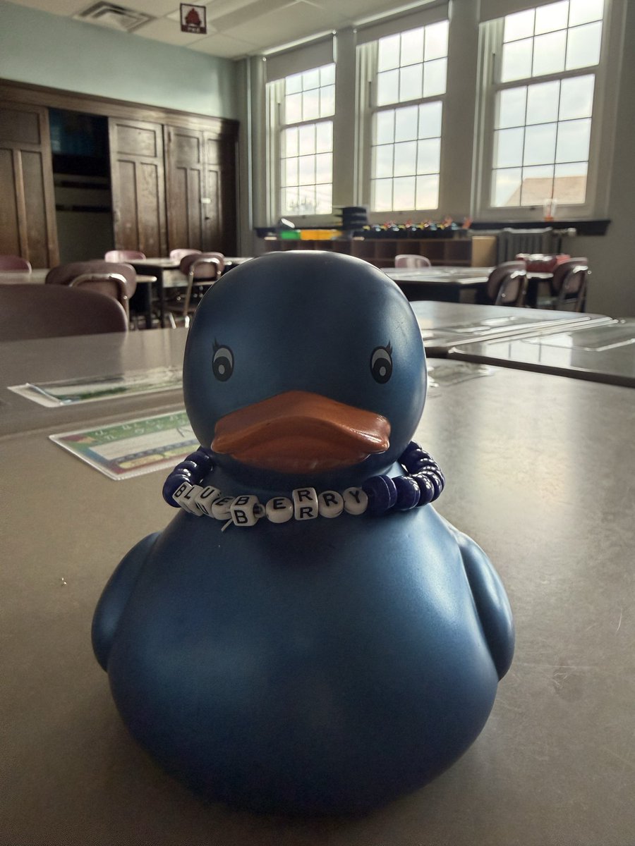 MsPuso's tweet photo. Our class mascot Blueberry is ready to take on 3rd grade this year! #blueberrytheduck #thirdgrade https://t.co/Bm9goBI8wF
