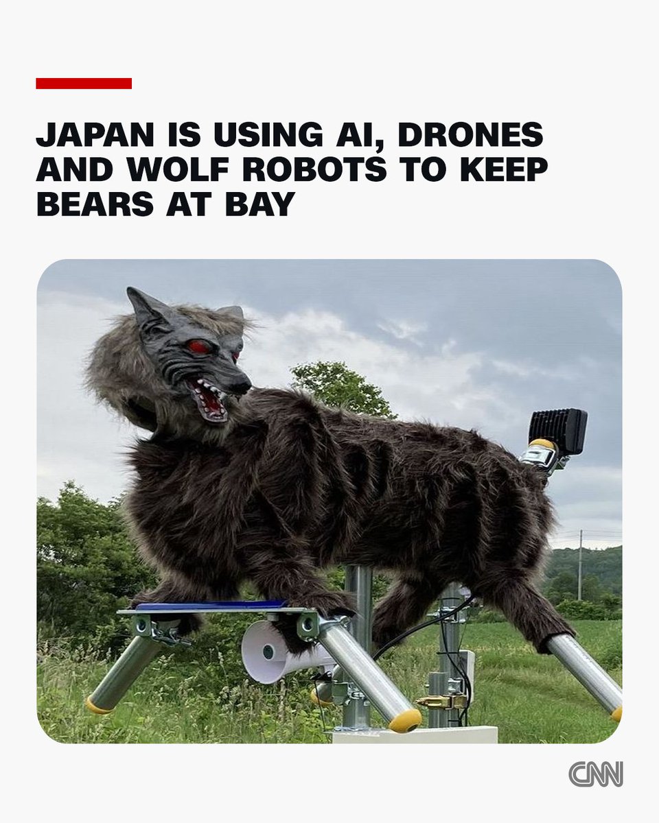 CNN's tweet photo. Bear attacks in Japan have hit a record high, with 13 deaths and more than 220 injuries recorded between April 2025 and March 2026. Regions prone to bear encounters have started equipping forests surrounding residential areas with movement-monitoring cameras that use AI to identify bears and notify local officials. https://t.co/VEbEqDKbu9