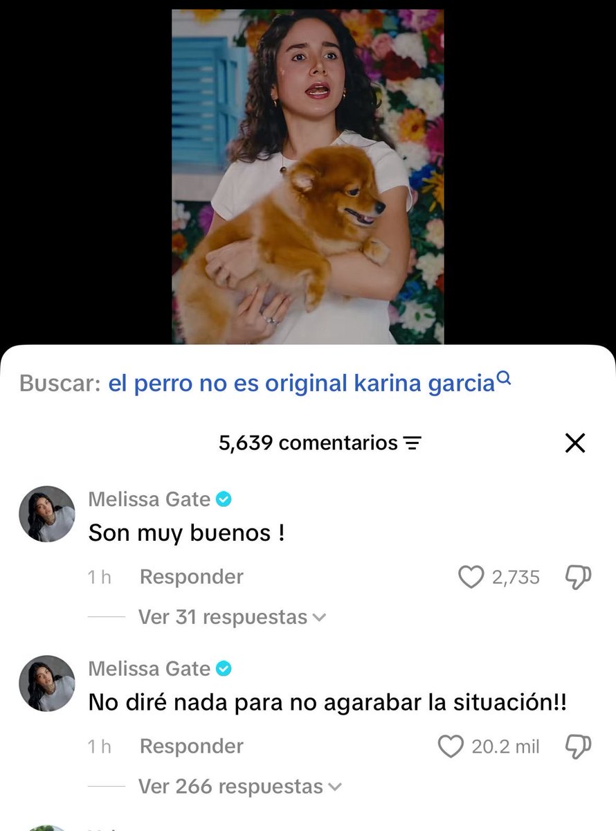 LauraWolfP's tweet photo. La ridícula pedía votos por el presidente mata gatos y tiene el coraje de montarse a la funa de la otra. Descarada es que eres @meligate_ https://t.co/QFclRA8UOE