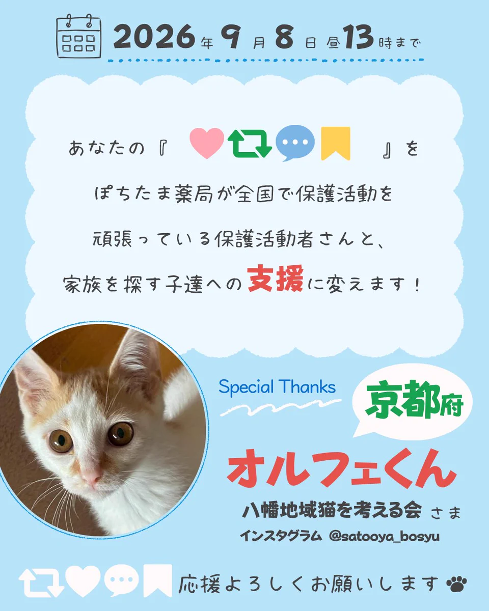 にゃんmama on X: 