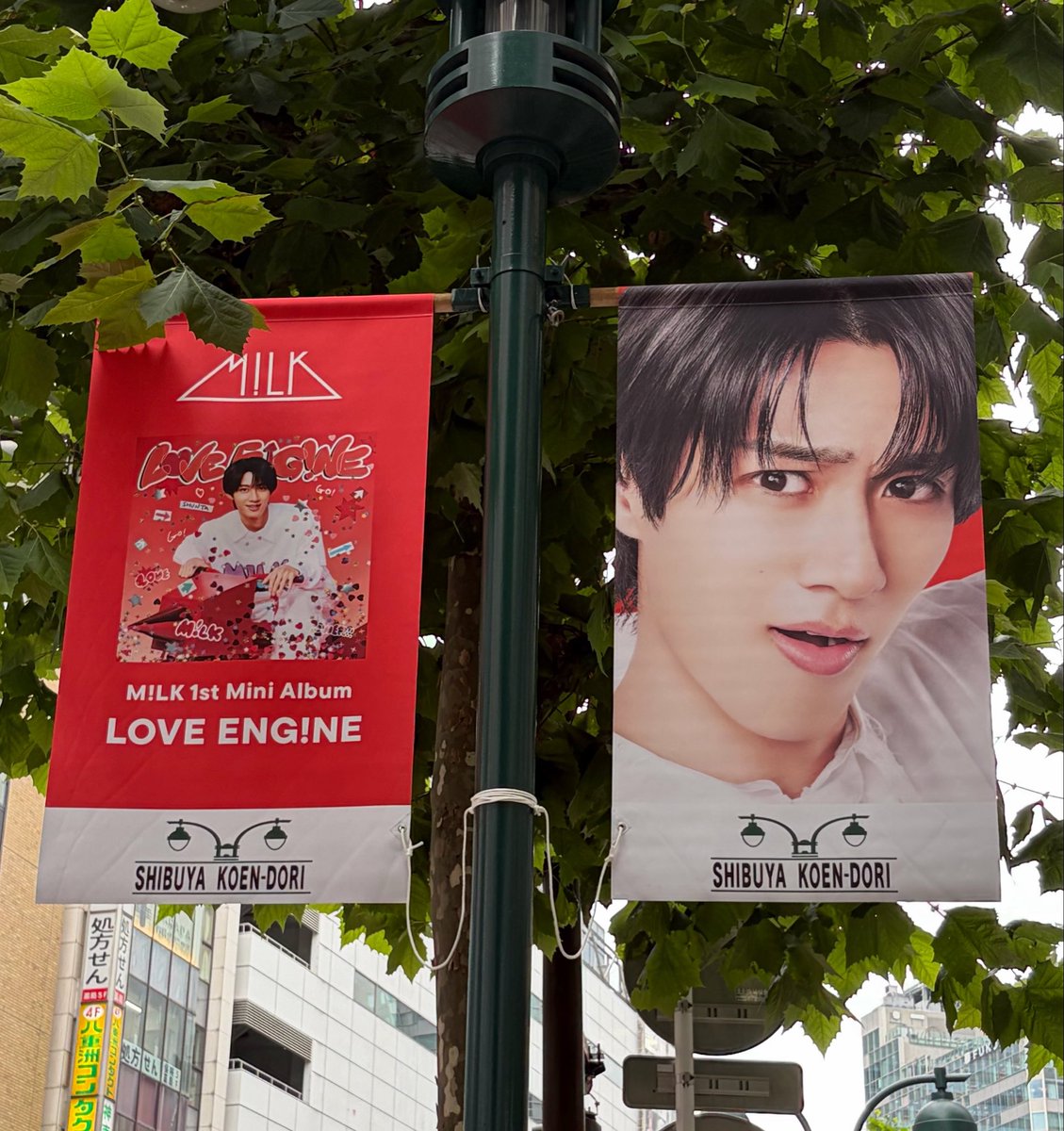 cococo_myo's tweet photo. エビミュ2回目🎶💖
フラッグもパネルも見れてタイミング天才すぎたな🫵 https://t.co/ZOb6vFT8Yz