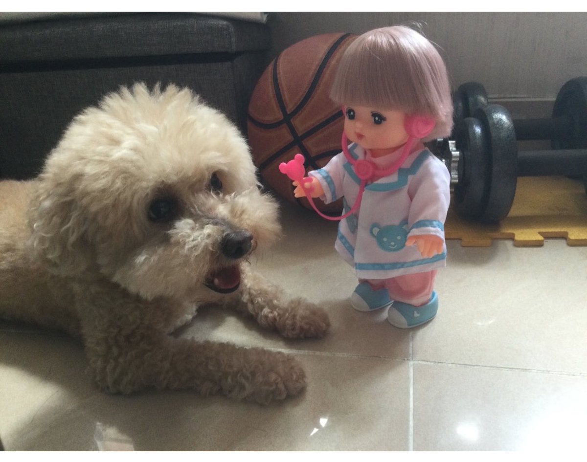 mymellchell's tweet photo. 思い出でしゅ https://t.co/Wqx0Qkc7W1