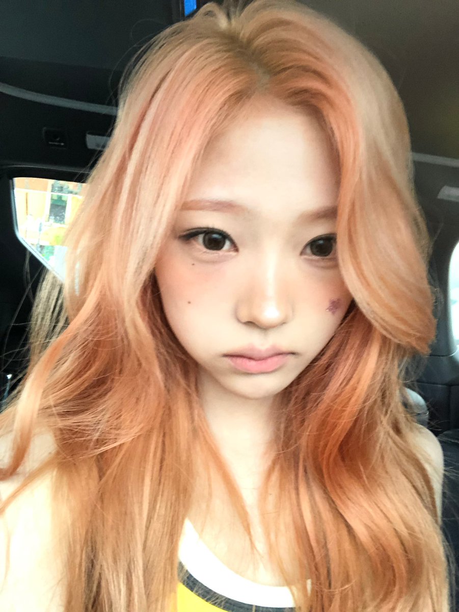 ___stellakim's tweet photo. hehe, princess on the move~ 🎀 just me in the backseat, peachy hair all fluffy, cheeks a little pouty, and my tiny sparkle saying hi! :b i may look all sweet and innocent, but there’s probably a yummy little treat waiting for me somewhere. now, where’s my carriage going? https://t.co/ikAlAqXZ1z