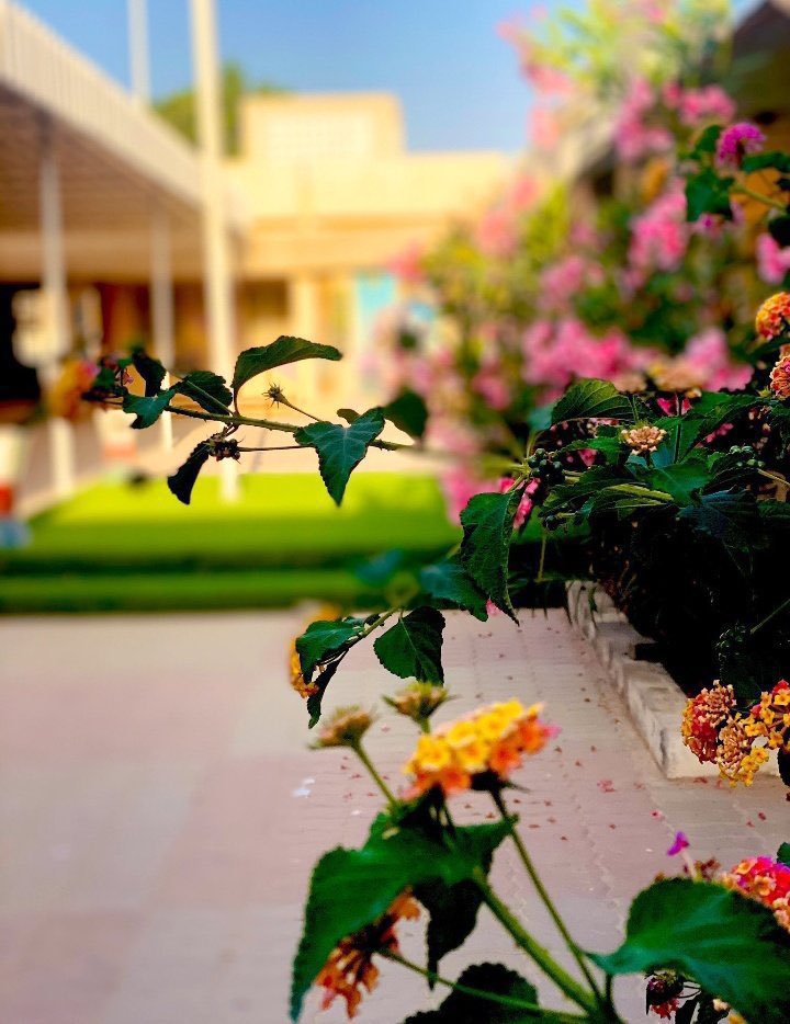 Alsuwaih22 tweet picture