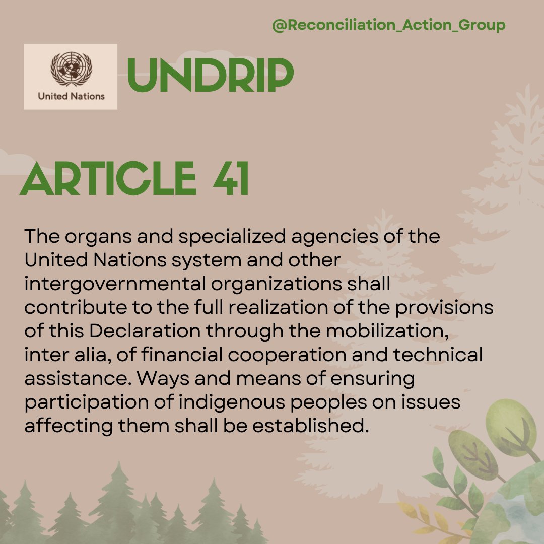 ReconciliACTgr's tweet photo. Sharing each Article from The United Nations Declaration on The Rights of Indigenous Peoples
UNDRIP Article 41
#UNDRIP #HumanRights #Indigenous #Canada https://t.co/nS7g8mrj6i