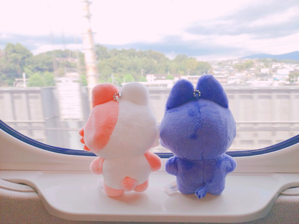 sgr_chocomint's tweet photo. 仕事についてきたうん
さけたうん足ﾀﾝﾀﾝしてる https://t.co/Uy0R81PH0I