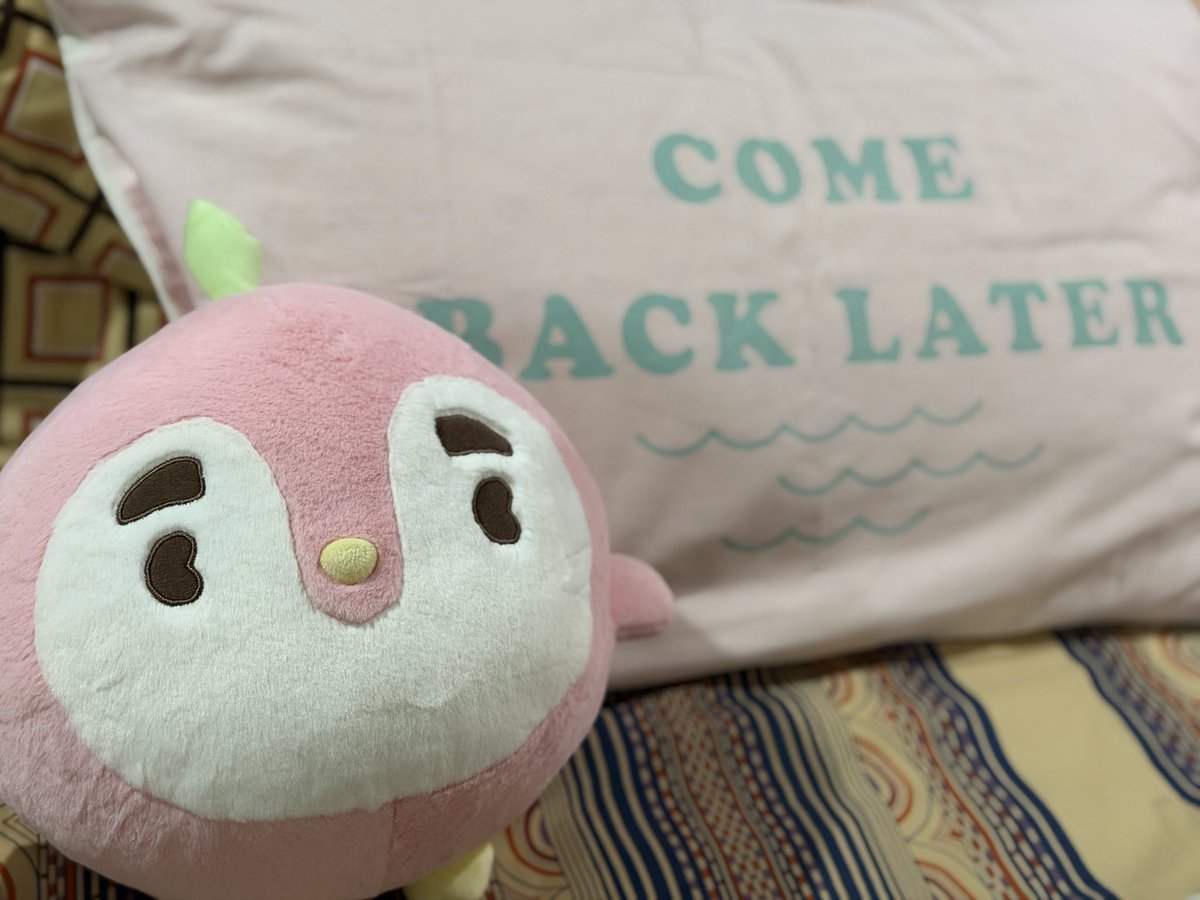 maisquishysoo's tweet photo. My ExHorizon online MD is home. 😍 Huhuhu. Super worth it. Ganda ng rugby shirt at deco cover. 🥰
Pinguini hug doll is like a giant stress ball. So round and squishy. ❤️
Thank you, @LLShoppe! #LLSFeedback https://t.co/DNQZTKdtDS