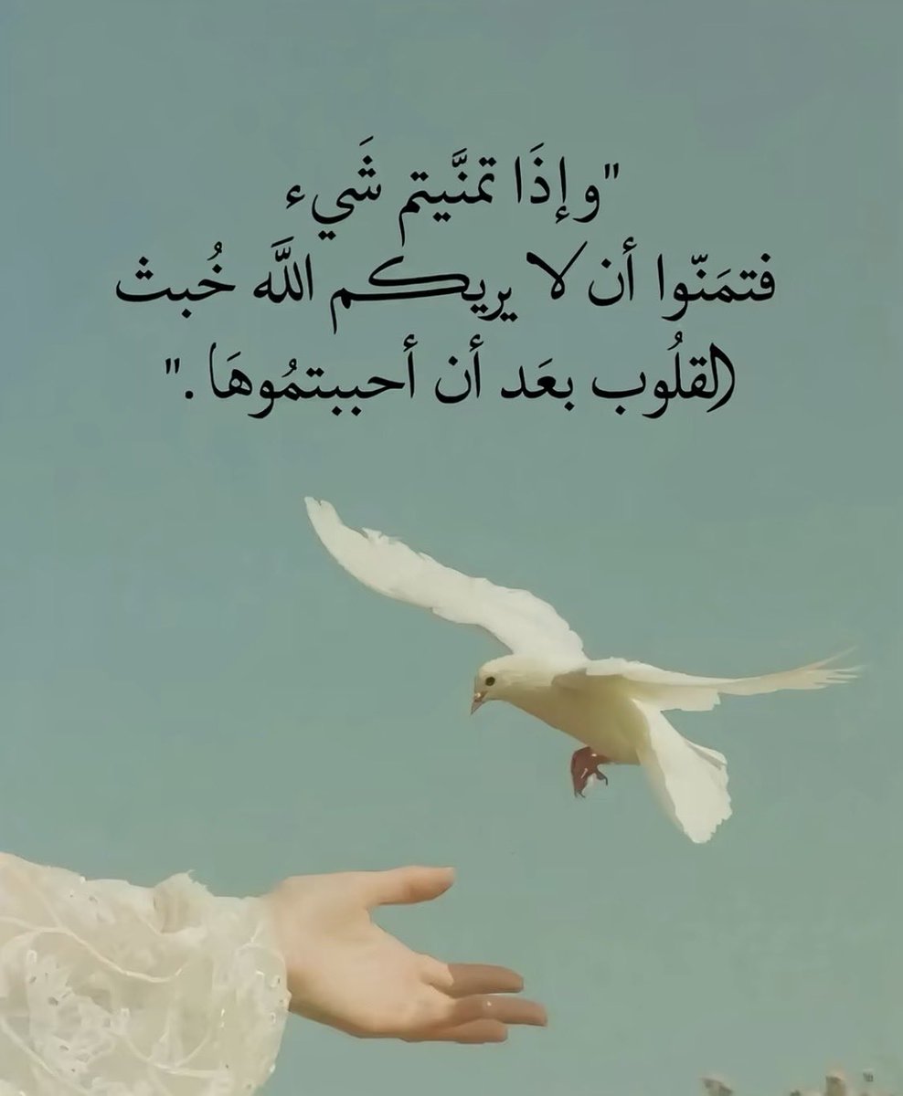 Rawabee1111's tweet photo. https://t.co/ypF7BNV49c