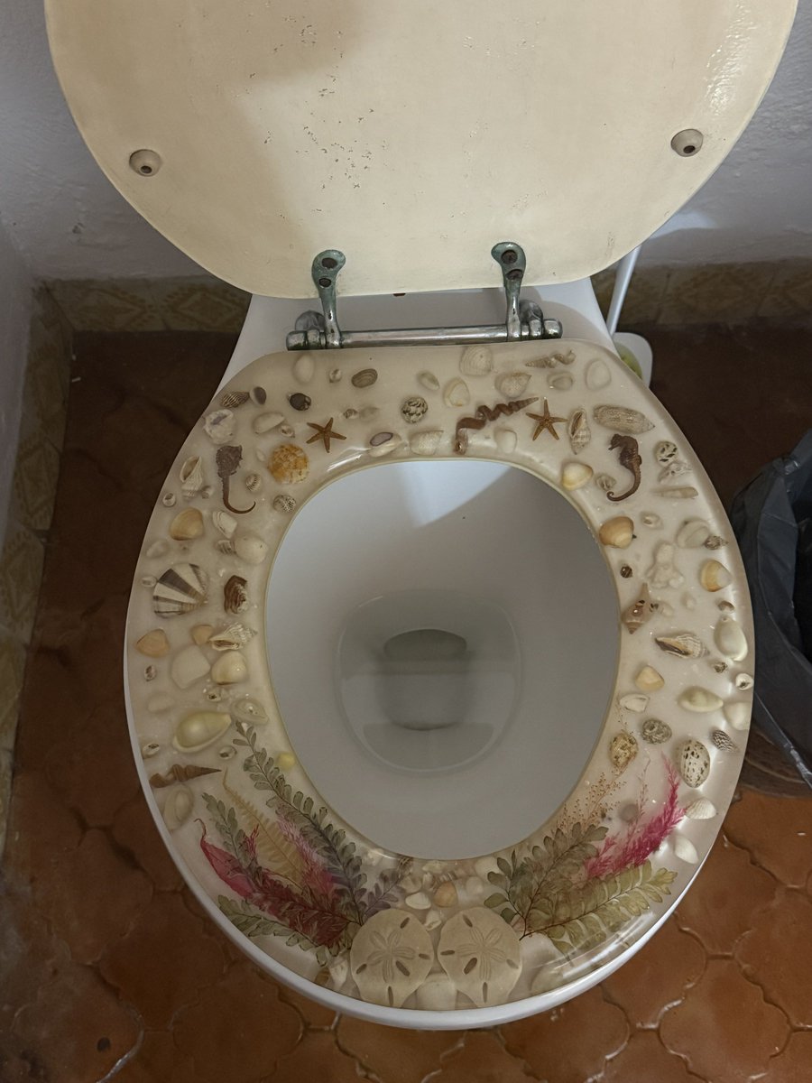 polcenfoto's tweet photo. No matter what I do I just can’t get used to peeing in the resin seahorse toilet https://t.co/0EDXxfNpyB