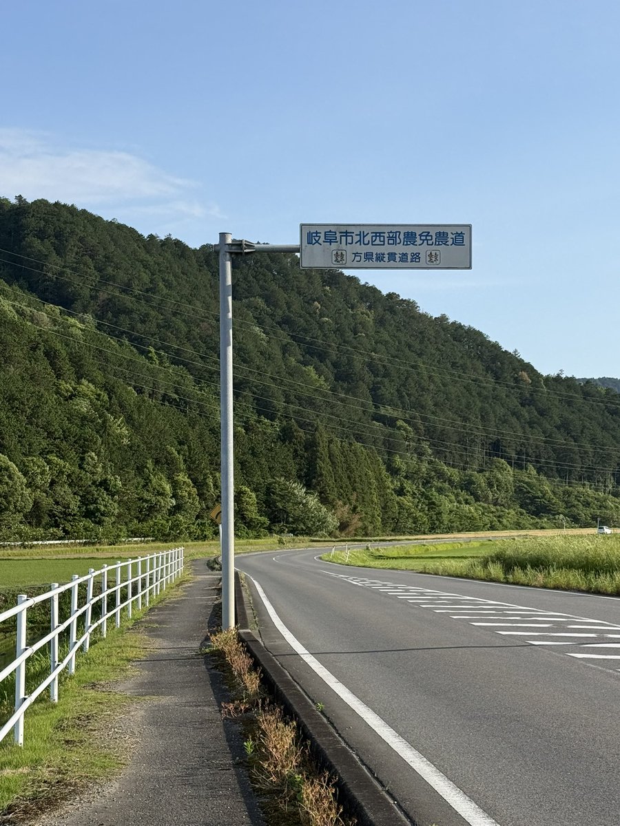 gifuseichi19's tweet photo. 安食のこの道路なんかどうなんやろうね？😳

30kmなのかどうか。 https://t.co/AFEiQS9FAg
