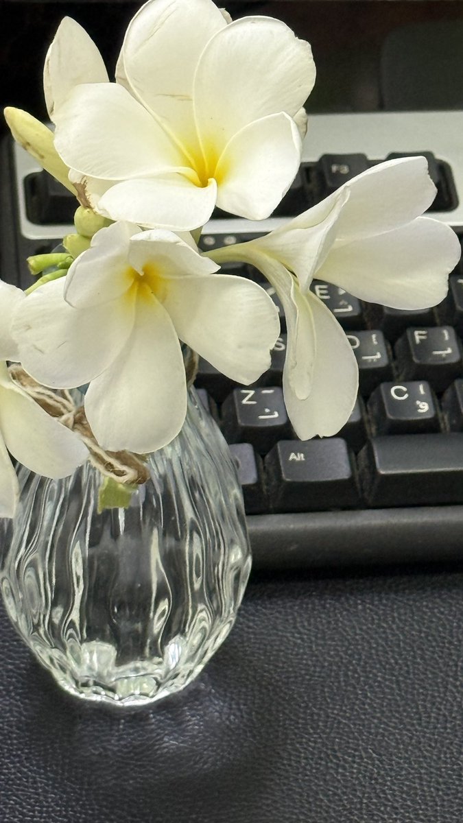 suii77's tweet photo. #اللهم اجعل أيامنا كزهرة الياسمين؛ لا تتغيّر مع الفصول، بل تبقى عطرةً في كلّ وقت، جميلةً في كلّ حال، وطيّبةَ الأثر أينما حلّت. https://t.co/fQMEzODGZv