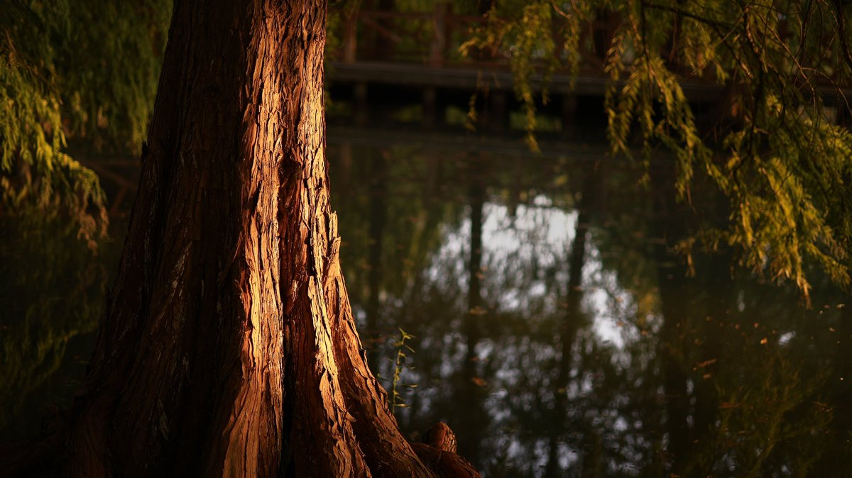 RickGrams6's tweet photo. 孤独感の���うな感じな～                                            #風景 #写真 #canon https://t.co/JMkdHhYcIC