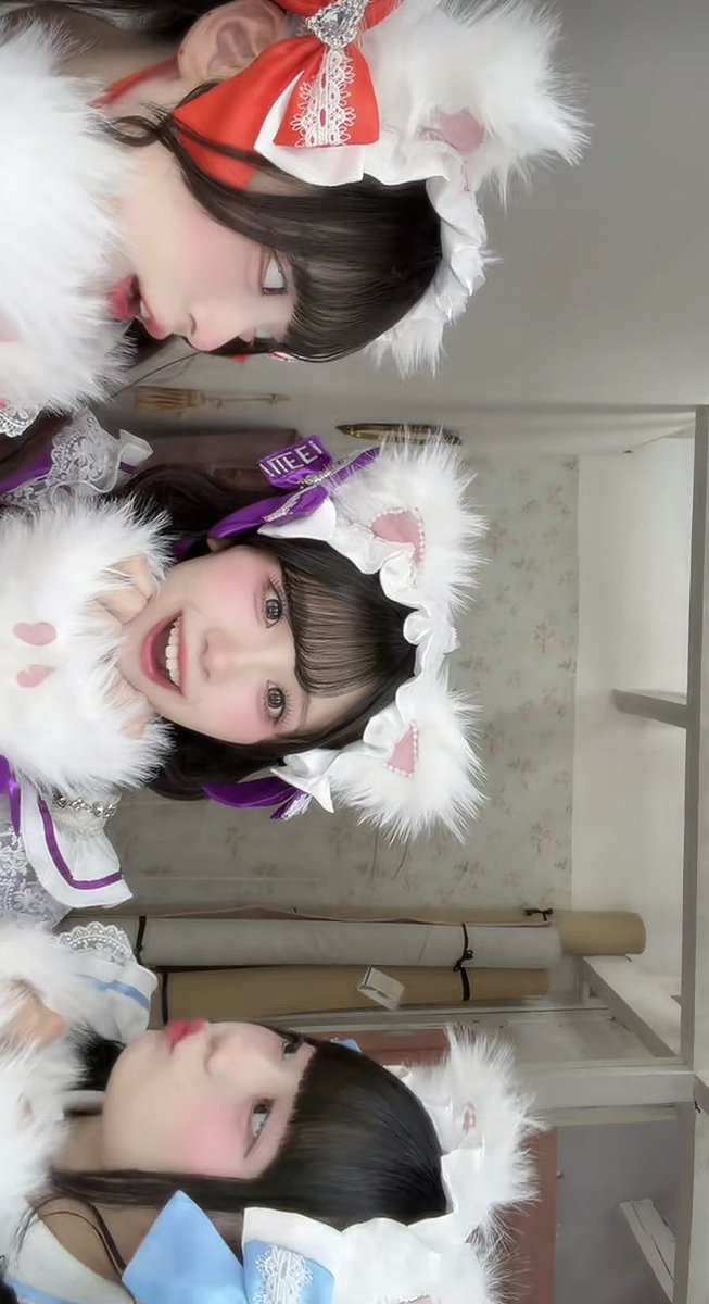 7lkkw's tweet photo. 休憩戻ろうと思ったら特大かわいい猫ちゃん3人組が出てきた激カワ🧡🩵💜
まむちにゃんこ沢山ありがとう😭🧡🧡🧡
  #まむにくまっちゃう https://t.co/uPcSXC4eta