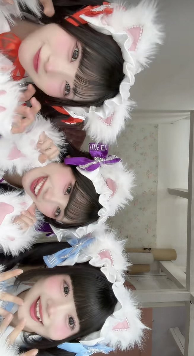 7lkkw's tweet photo. 休憩戻ろうと思ったら特大かわいい猫ちゃん3人組が出てきた激カワ🧡🩵💜
まむちにゃんこ沢山ありがとう😭🧡🧡🧡
  #まむにくまっちゃう https://t.co/uPcSXC4eta