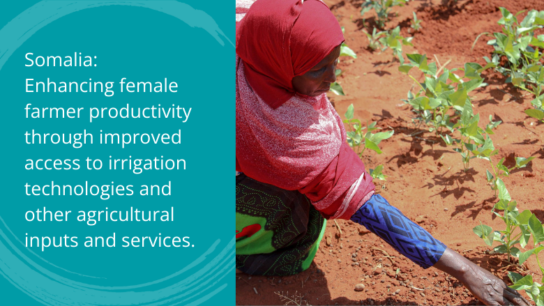WorldBankWater's tweet photo. #DYK that we could reduce the number of food insecure people by 45 million?

Find out why promoting #GenderEquality and investing in women is a game-changer in climate-resilient #irrigation

👉 https://t.co/8Lwa2oiIqQ https://t.co/qrKa8oYbvj
