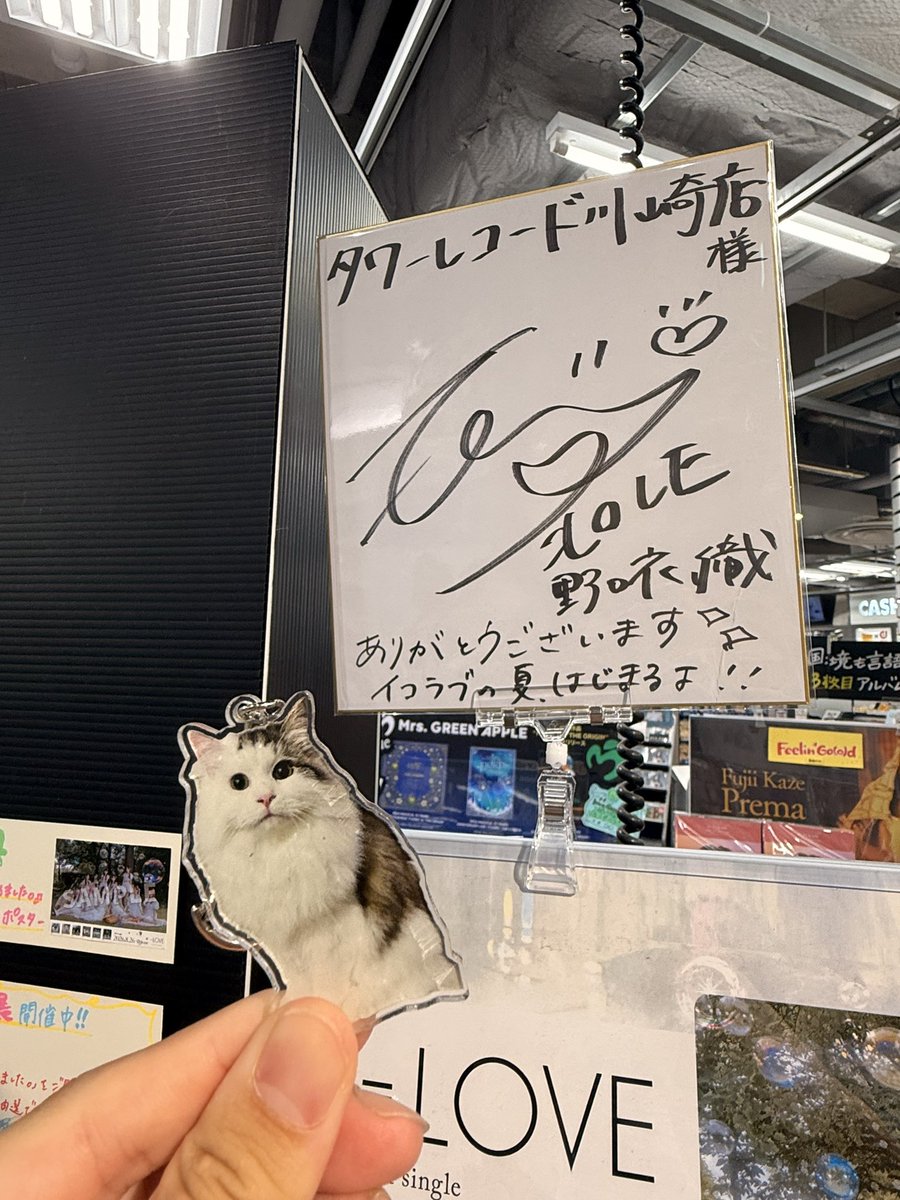 pipe_siberian's tweet photo. @noguchi_iori ぴぺもイコラブの夏に混ざれてますか？ https://t.co/qHmdMWhsPv