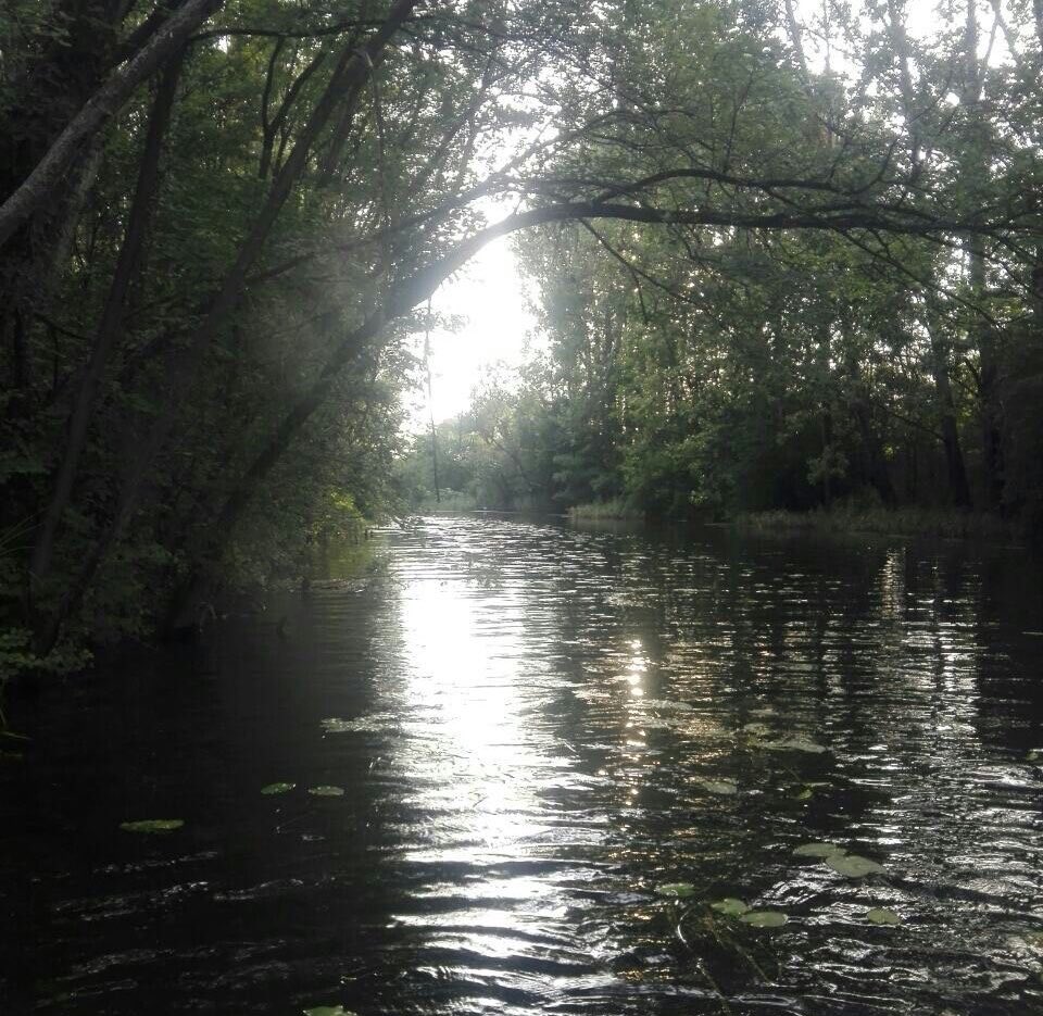 atonementdove's tweet photo. ⋆.ೃ࿔*:･ early morning dip
♬⋆.˚—— it’s crazy, i had big dreams til i tied myself to you https://t.co/w9cGdd2zmf