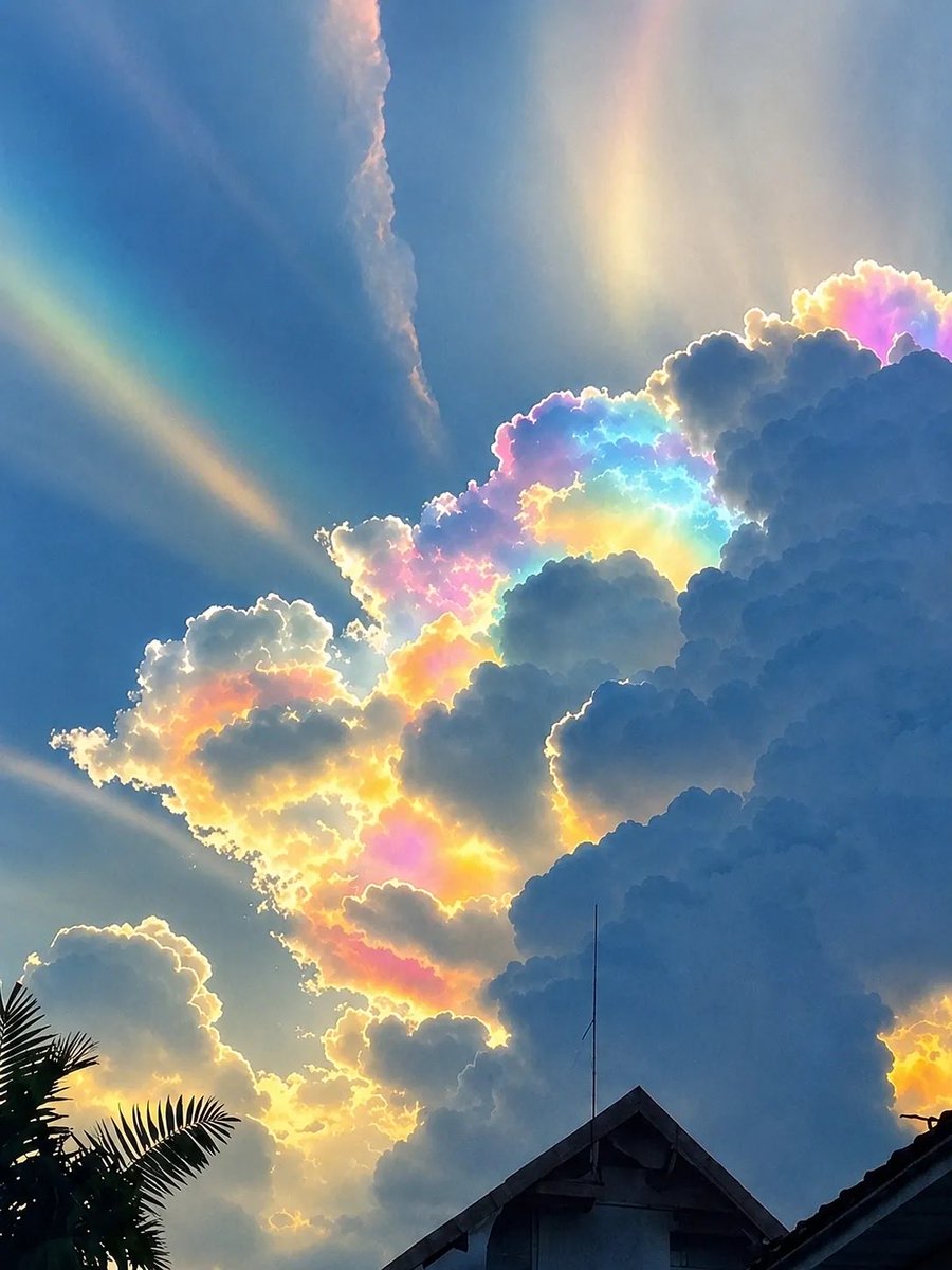 sereinvibee's tweet photo. The most incredible sky I’ve ever seen✨ https://t.co/K17f9iv2DW