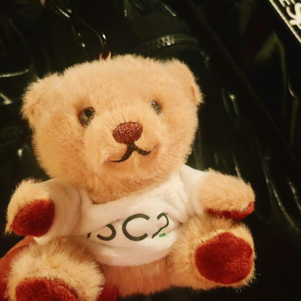 yamamie_st's tweet photo. セキュリティカンファレンス過去イチ嬉しいノベルティ
#isc2event https://t.co/xRYYDK5dJy