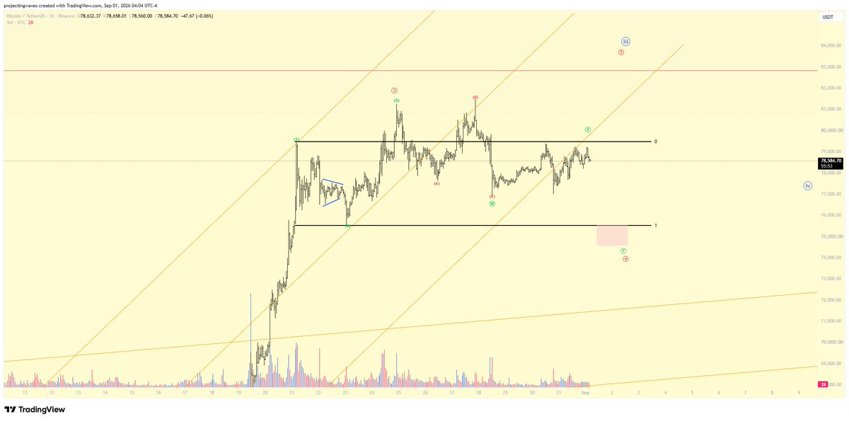 projectingwaves's tweet photo. bitcoin:native 
LTF count im tracking right now. I think one low is due before potential new high. Im looking to long after completion of wave 4. https://t.co/zc3qDlUaD3