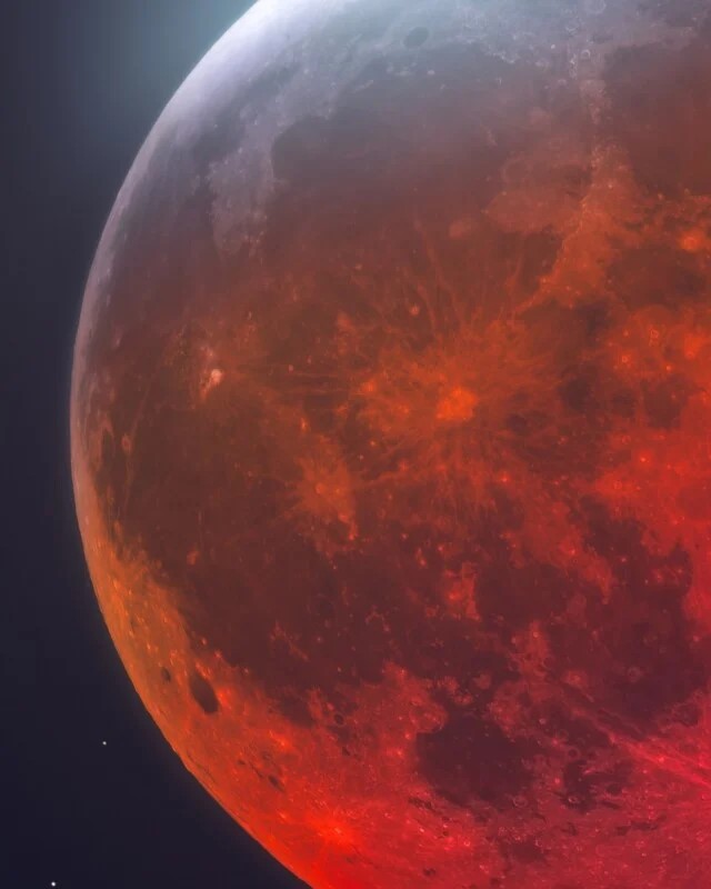 ZorzStudios's tweet photo. 📰 Today's top stories, personally curated for you by Zorz Studios: https://t.co/rBl7GaVelW

- #Photographer captures #BloodMoon from the parking lot of a Quality Inn;
- Top 7 online #ReputationReviews to know, and more

 #ZoracleDaily #newspaper https://t.co/VltSL8bjlP