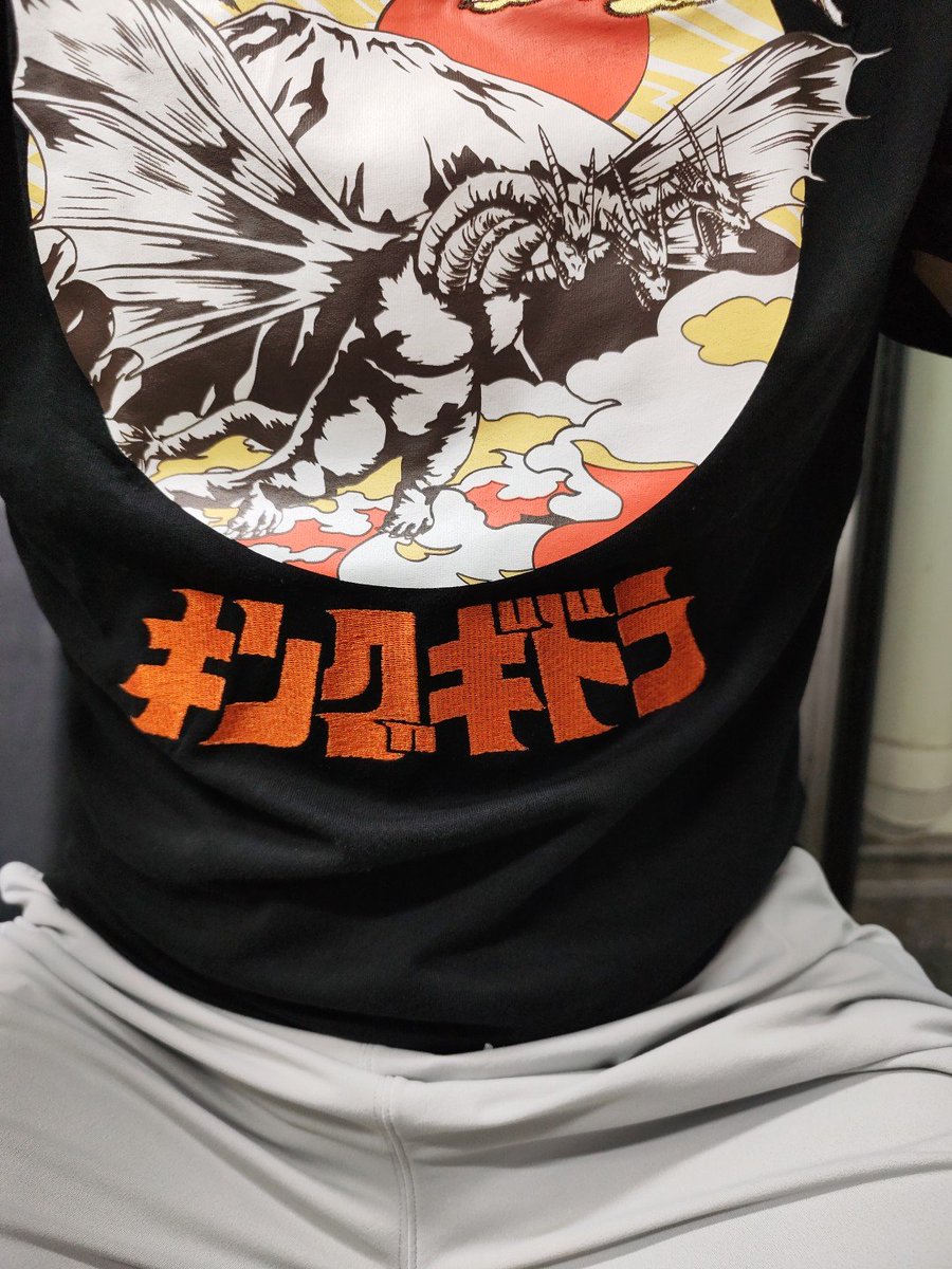 DANCEofBLITZ's tweet photo. 行きはゴジラで、帰りはキングギドラ。
めちゃ暑かったのでゴジラはビショビショ（笑）💦😭💦 https://t.co/uws7FFF1Cq