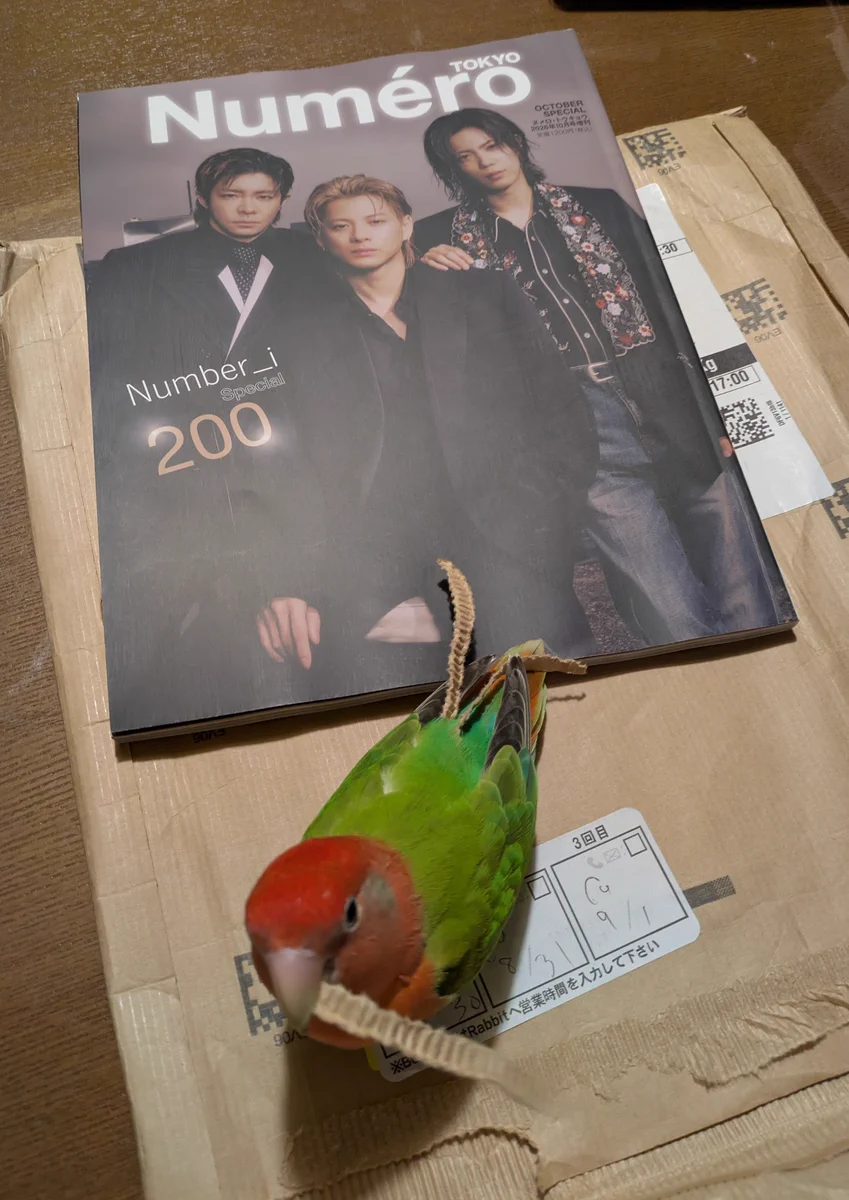 豆🦜No.1 على X: 