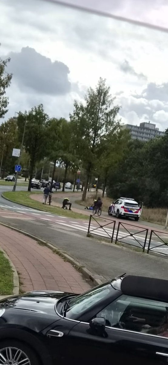 Steekpartij nabij vijver in de wijk Kerkenlanden