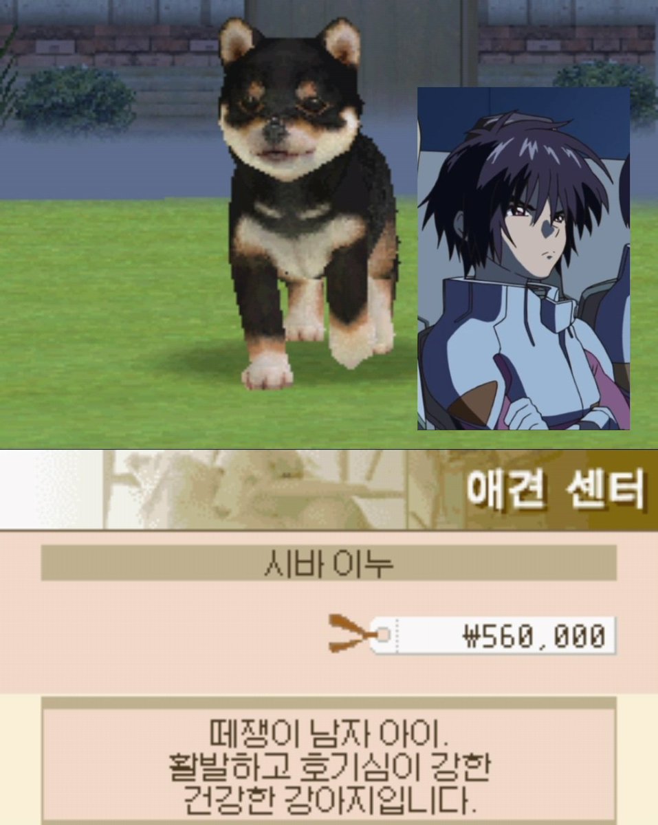 arkofdusss's tweet photo. 신 아스카랑 똑같이 생겼잖냐 https://t.co/3qOiyp3aY4