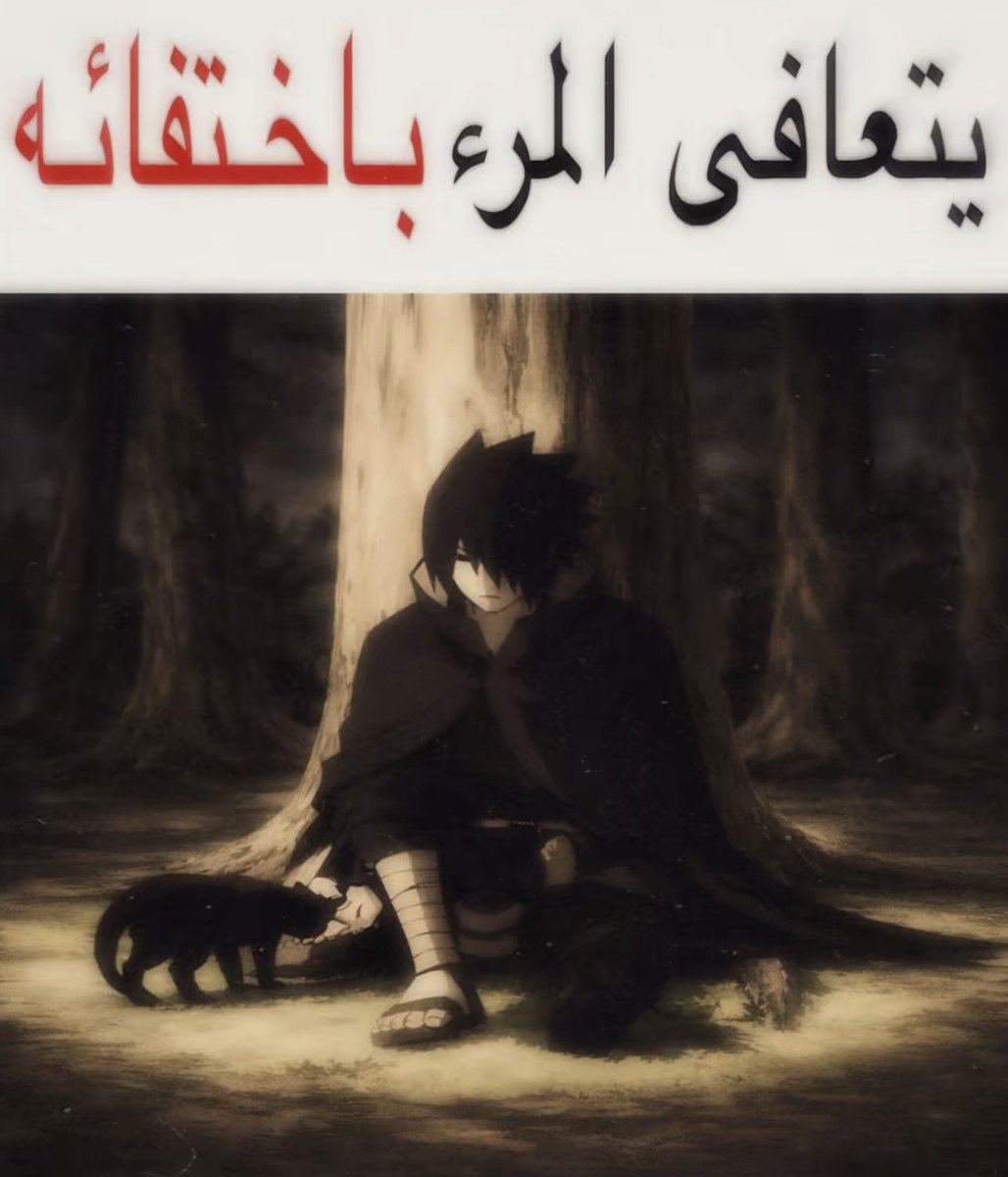 toua190's tweet photo. Sometimes https://t.co/98mfn0tbGU