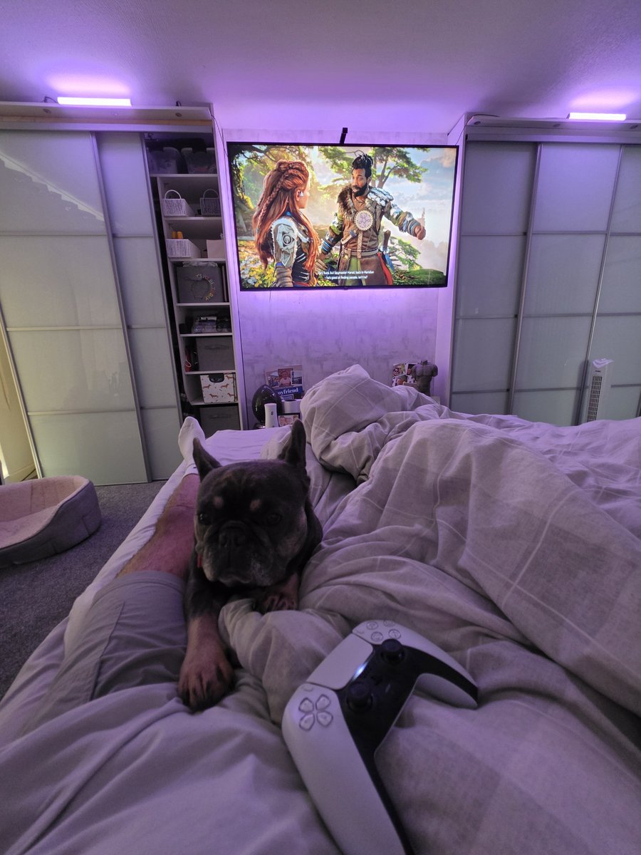 beau7944's tweet photo. Can't focus playing 😜😂🐶 https://t.co/PYd1rdk7zb