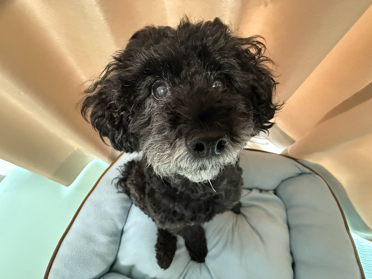 NAOYAMIYAKE1's tweet photo. 頑張れなおやんパパ、株で損失が続いているけどそれは、なおやん頑張って分析/実践してきた証明だよ
ここからだよ！

#株式投資システムトレード https://t.co/qGJN2TJ6Mv