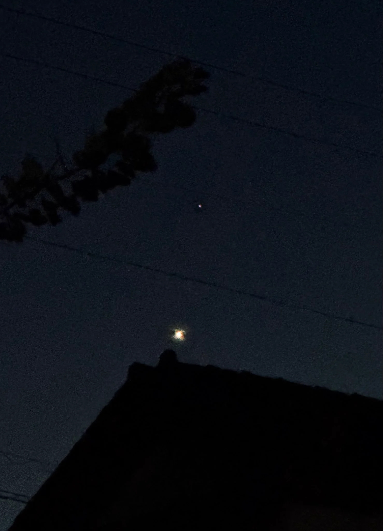 愛称板　金星 mako on X: 
