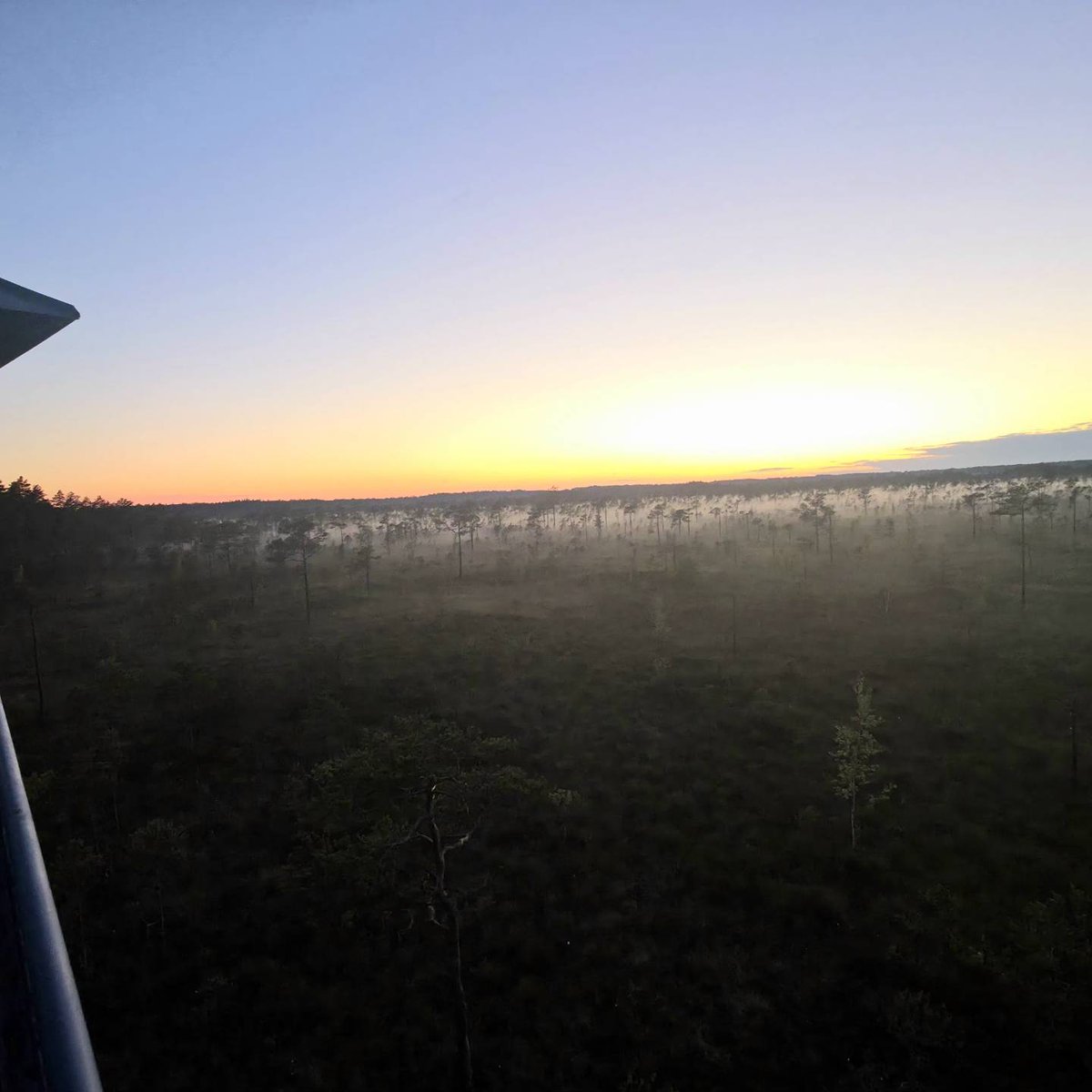 GwenPina's tweet photo. A look back at my first night of observation. Here, sunset and sunrise almost meet at the same point. Night never truly settles; it fades just enough for mist to rise from the ground and cling silently to the treetops. 11:30 p. m. No bear or moose https://t.co/YJabPNKq0o