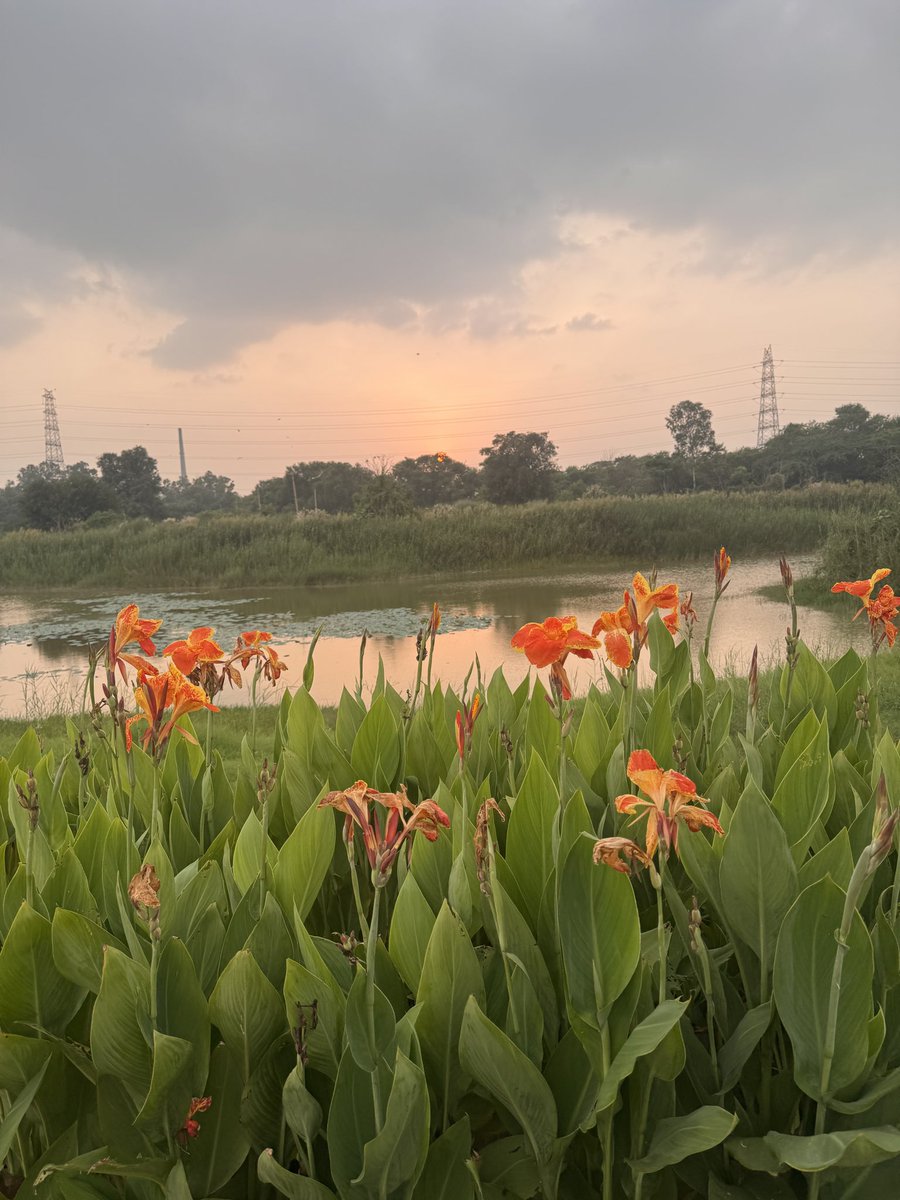 nisharai_ggc's tweet photo. #September arrives with a quiet promise: beautiful things can still happen before the year ends !
#Grateful
#NatureTuesday 🧡
#welcomeSeptember
#IndiAves https://t.co/DMbMbtPSMD