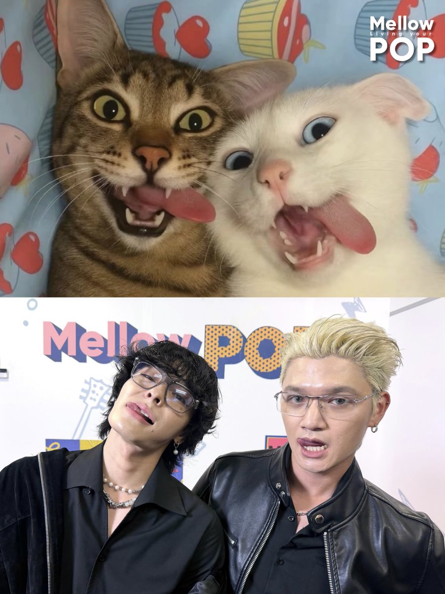 MellowPOP_TH's tweet photo. ✨ พี่ให้ 2/10 แล้ว LOVERED ให้คะแนนความเหมือนกี่คะแนนดีน้าา?!? 👀💯
.
#MellowPOP
#WOLFHOWLHARMONY https://t.co/1TY2HdXQLQ