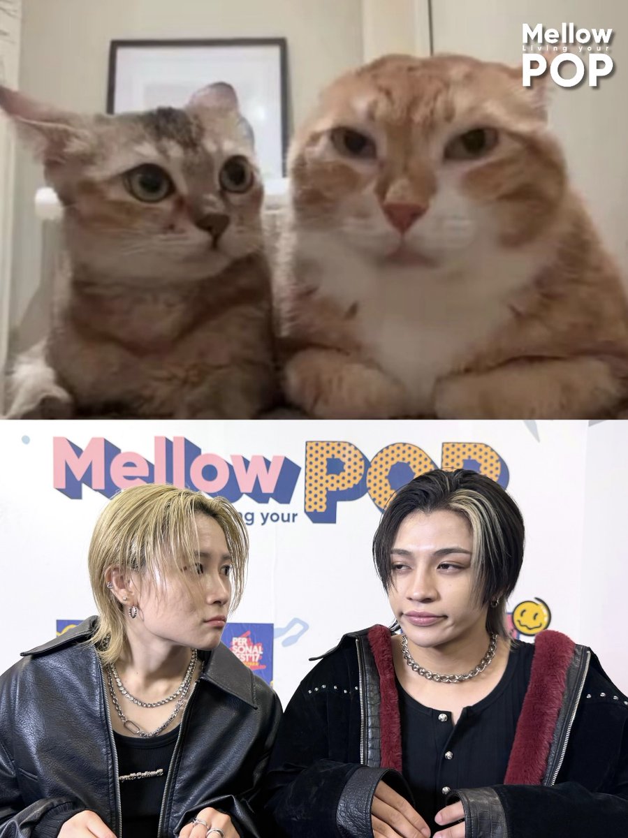MellowPOP_TH's tweet photo. ✨ พี่ให้ 2/10 แล้ว LOVERED ให้คะแนนความเหมือนกี่คะแนนดีน้าา?!? 👀💯
.
#MellowPOP
#WOLFHOWLHARMONY https://t.co/1TY2HdXQLQ
