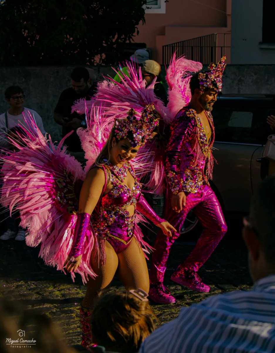 DeedeeMurata's tweet photo. 14/2026
15/02/2026
Santa Cruz Carnival https://t.co/78dnORlz5r
