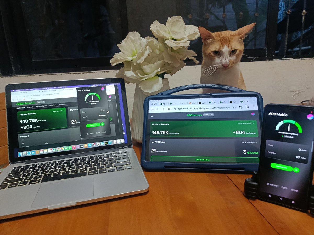 AroNetwork's tweet photo. Show Your Node — the results are in.

Three weeks. Dozens of setups. At least one sleeping cat🐱

Best Setup: @Ditz_2002, @Rain112025, @LemodRoman666
Best Reason: @darkjhay18, @phedrajt, @AceDawN011

Rewards, per category:
1st $50 + 3,000 Jade
2nd $30 + 2,000 Jade
3rd $20 + 1,000 Jade
Winners, please open the discord ticket (https://t.co/ofNZAMrnUE) to claim within one week.

Thank you to everyone who showed us where their node lives — desks, windowsills, coffee tables, a construction site. That's the edge, and you're it.

Next challenge drops soon. Keep your node online.