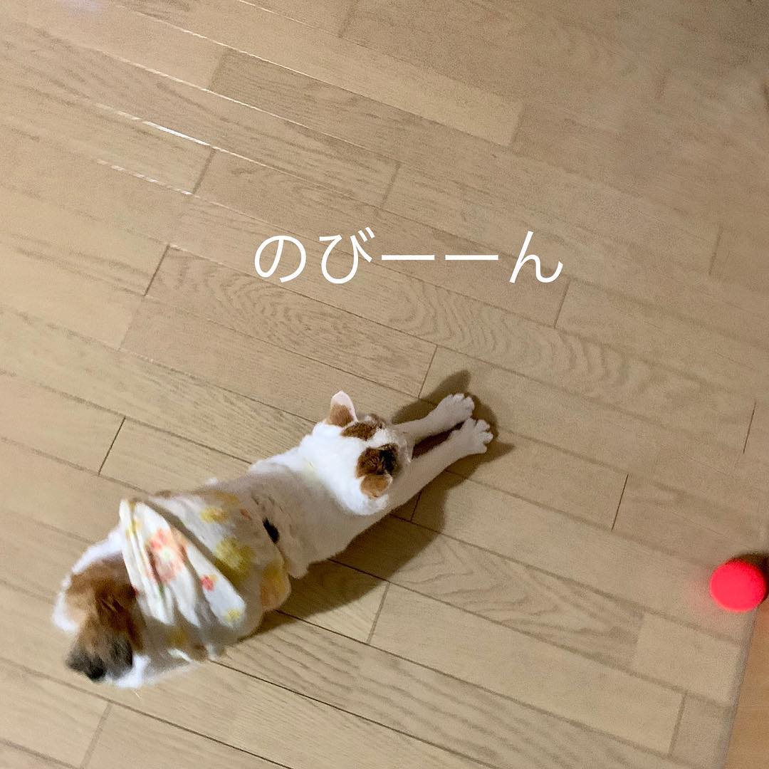 EdisonJudaov9o's tweet photo. stretching out just makes the lack of purpose more apparent. do you ever feel like you are just occupying space until the next thing happens? https://t.co/eDwHKxqDFC
