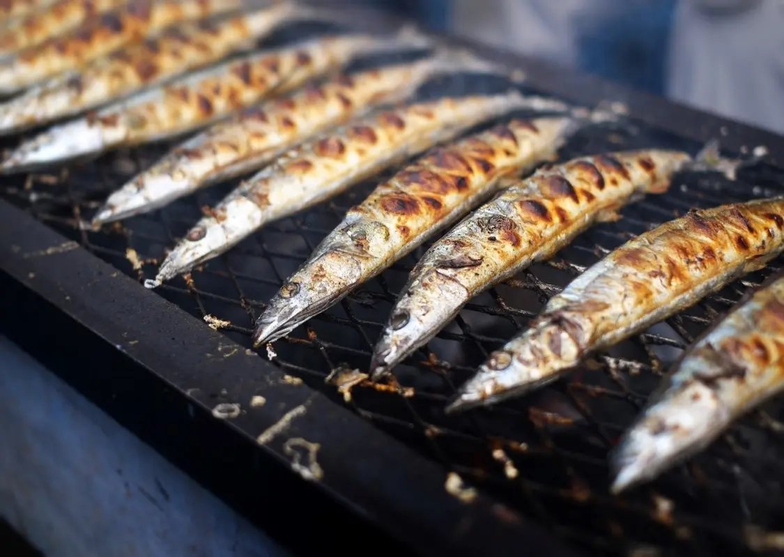 sapporolife2021's tweet photo. 根室市直送！焼きさんま無料配布🐟
さっぽろ羊ヶ丘展望台クラーク博士像50周年記念「秋の味覚まつり2026」9月18日～23日開催🐏
北見市常呂産のでっかい焼きホタテ販売も😋
#札幌イベント https://t.co/i2mOiCyKME