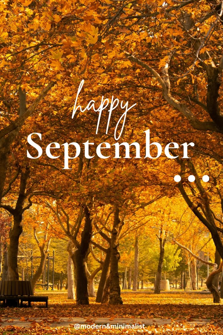 charlesnwawo's tweet photo. Happy New Month CT ✨ https://t.co/R68ei8h0Ef