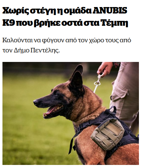BazingaGR's tweet photo. Μπαζώνουν οι μεν...ανακαλύπτουν "θησαυρούς" μέσα στα μπάζα οι δεν. Μήνυμα ήταν η δολοφονία του εκπαιδευμένου σκύλου. Χώθηκαν εκεί που δεν έπρεπε να χωθούν. Κρίμα γιατί είναι εξαιρετικά σπάνιο να βρεις επαγγελματίες χειριστές και εκπαιδευμένους σκύλους στην Ελλάδα... https://t.co/AzgEd2UhIp