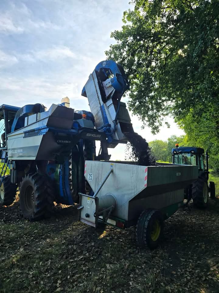 grandebougie's tweet photo. LET'S GOOOO. 
Vendanges en cours. 🚜🍇
Des journées intenses, du travail de précision et surtout une belle énergie collective pour donner le meilleur du vignoble. 
Merci à toutes celles et ceux qui rendent cette aventure possible.
#Vendanges2026 #SaintEmilion #Vins #Raisins https://t.co/2UpAGzcl24