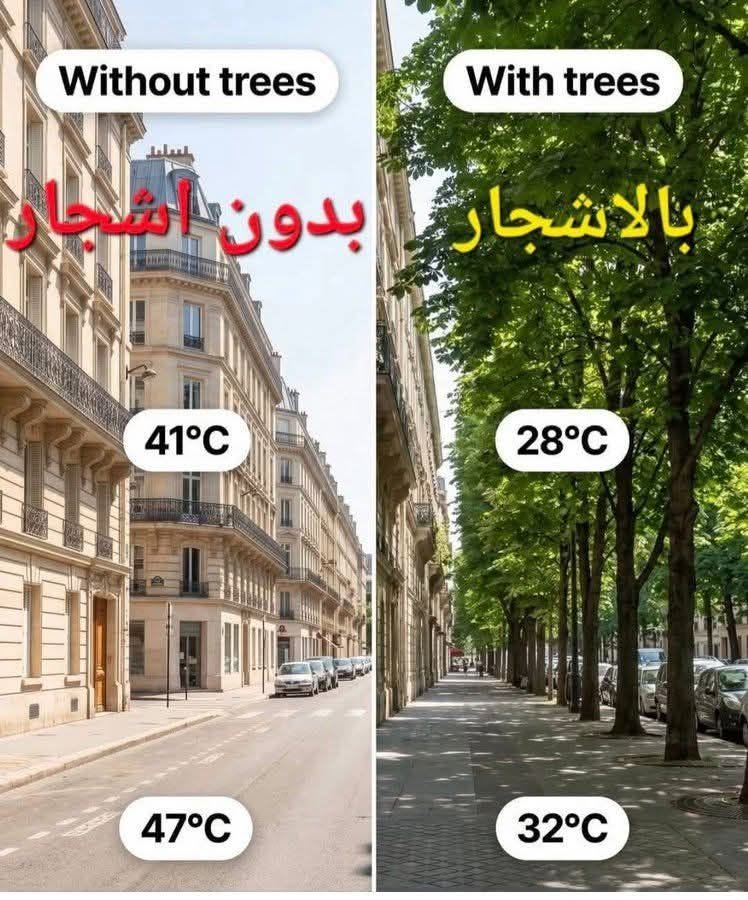 waelabbas's tweet photo. قطع الله رقابكم قريبا https://t.co/TDRR45sau7