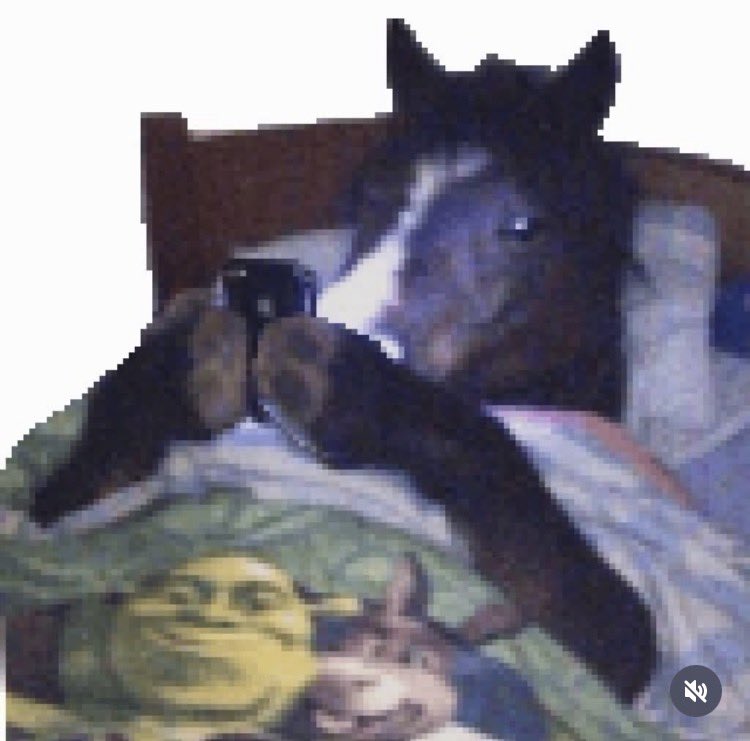 wasapshawty's tweet photo. dump https://t.co/FhLBkqntbl