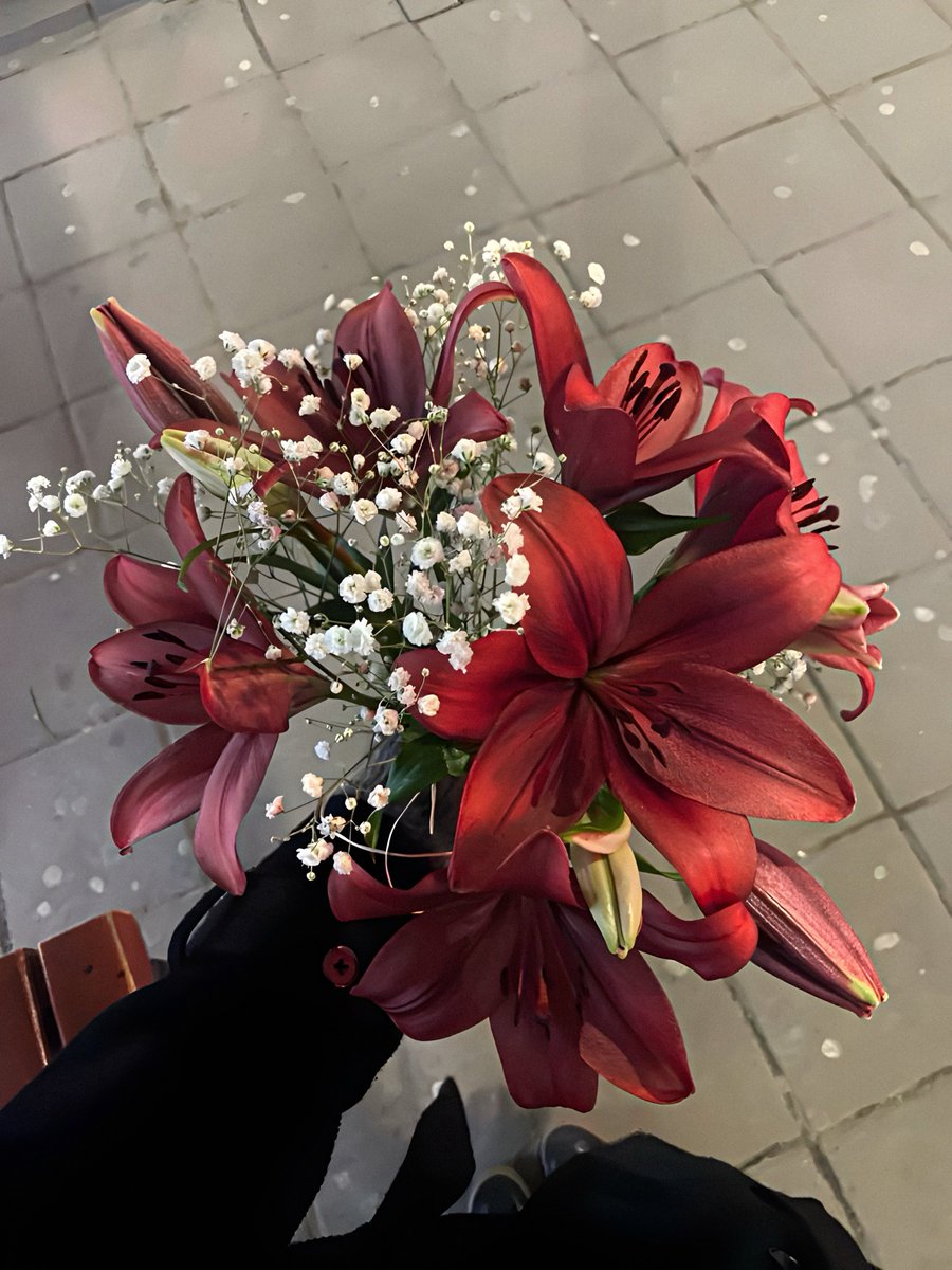 qarev019's tweet photo. Red flowers beautiful https://t.co/TeDfmyeRcD